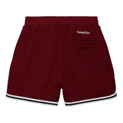 Shorts Mitchell & Ness - Game Day 2.0 Shorts
