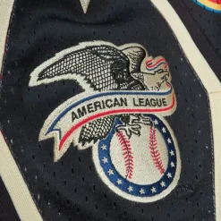 Apparel Mitchell & Ness Shorts-M&N X Jfg Flame Shorts Chicago White Sox