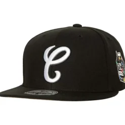 Headwear Mitchell & Ness -M&N X Lyrical Lemonade Fitted Chicago White Sox