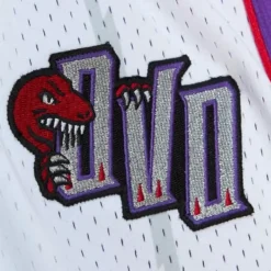 Apparel Mitchell & Ness Shorts-M&N X Ovo Swingman Toronto Raptors Shorts