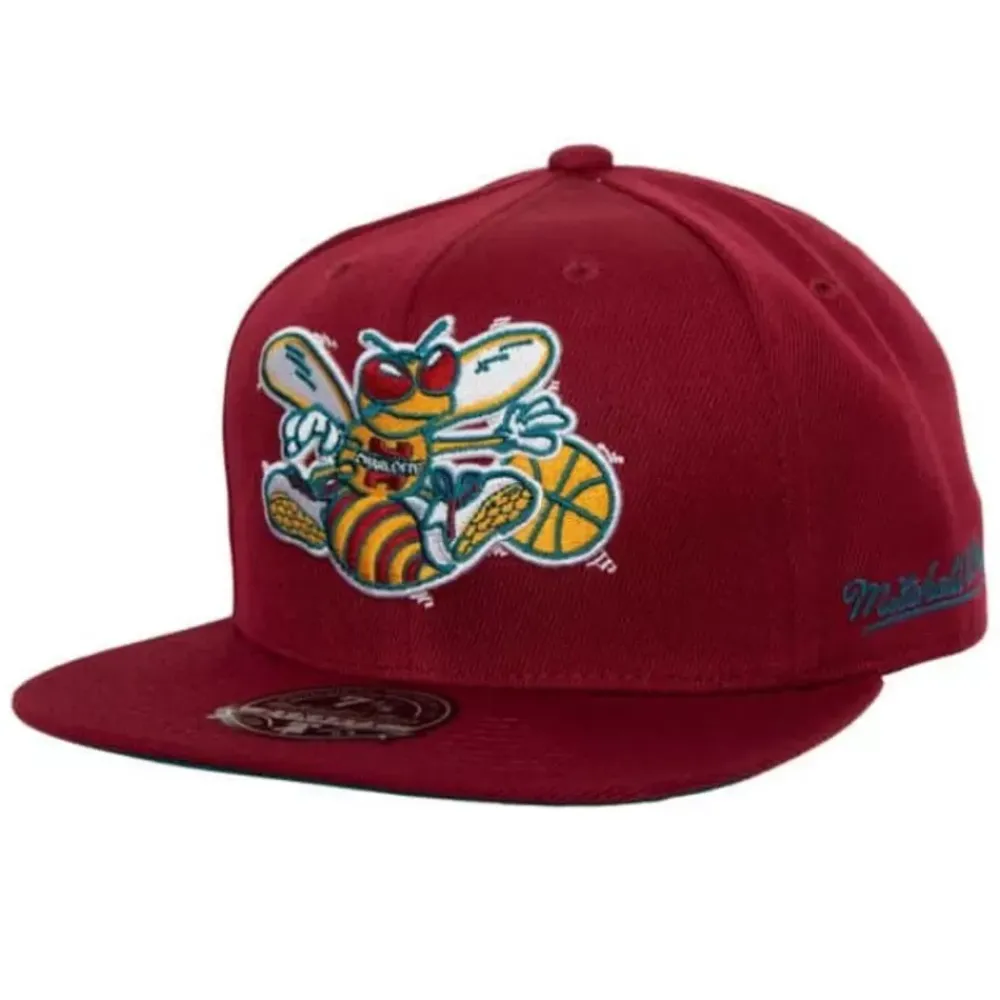 Headwear Mitchell & Ness -Northern Lights Fitted Hwc Charlotte Hornets