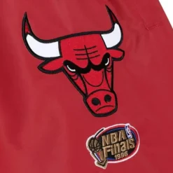 Apparel Mitchell & Ness Pants-Paintbrush Warmup Pant Chicago Bulls