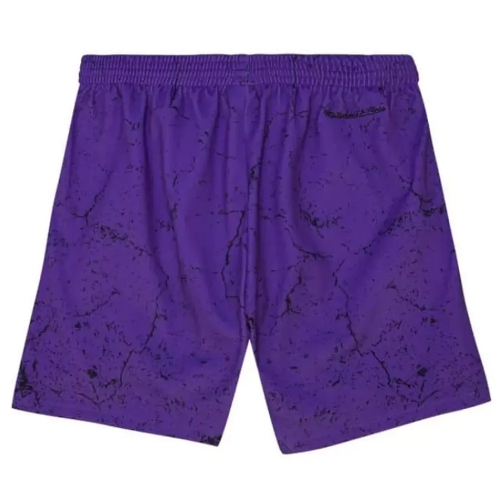 Apparel Mitchell & Ness Shorts-Player Burst Mesh Shorts Toronto Raptors Vince Carter