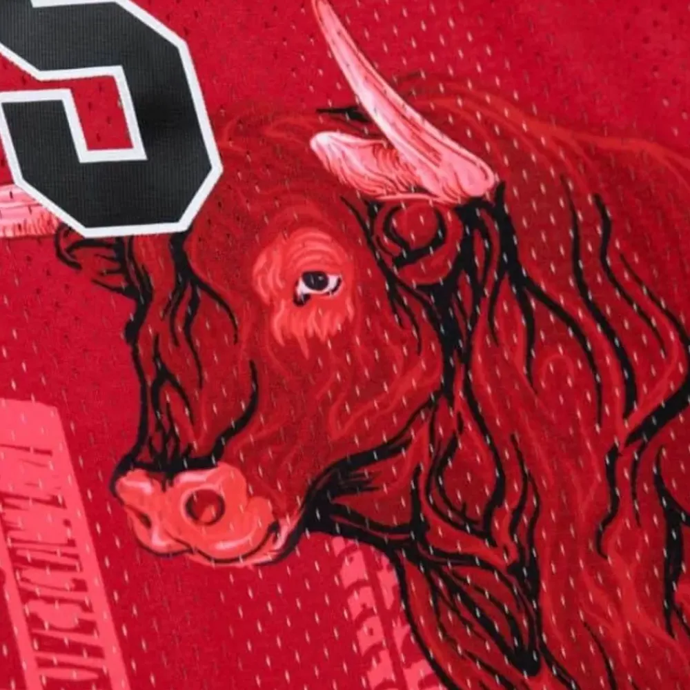 Jerseys Mitchell & Ness -Polo G X Br Remix Swingman Chicago Bulls Jersey