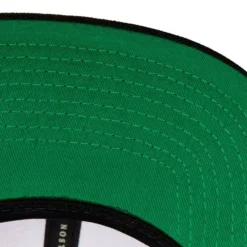 Headwear Mitchell & Ness -Side Core 2.0 Snapback Hwc Toronto Raptors
