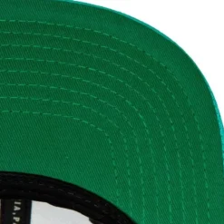 Headwear Mitchell & Ness -Side Core 2.0 Snapback Hwc Vancouver Grizzlies