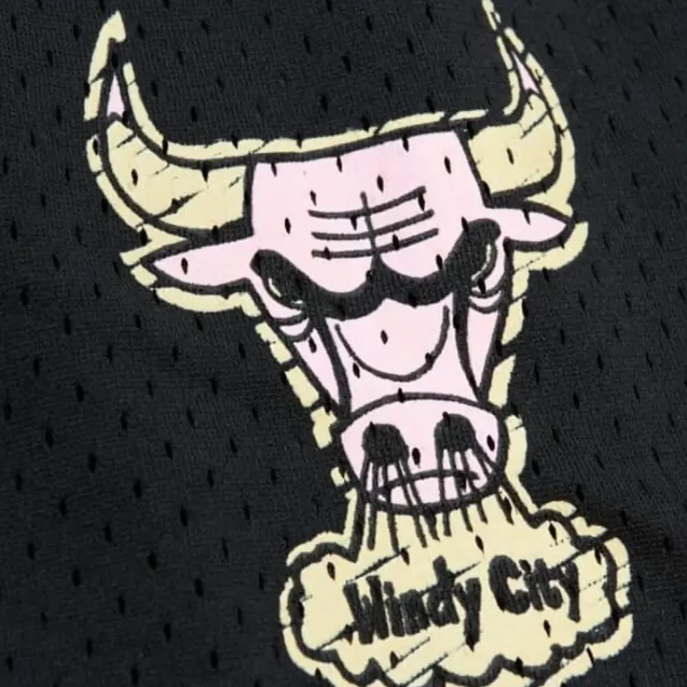 Apparel Mitchell & Ness Shorts-Sidewalk Sketch Shorts Hwc Chicago Bulls