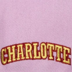 Headwear Mitchell & Ness -So Fresh Snapback Hwc Charlotte Hornets
