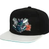 Headwear Mitchell & Ness -Ssbsts Snapback Hwc Charlotte Hornets
