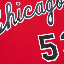 Jerseys Mitchell & Ness -Swingman Artis Gilmore Chicago Bulls 1977-78 Jersey