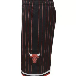 Shorts Mitchell & Ness -Swingman Chicago Bulls Alternate 1996-97 Shorts