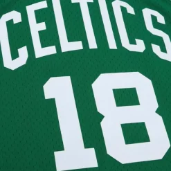 Jerseys Mitchell & Ness -Swingman Dave Cowens Boston Celtics Dark 1973-74 Jersey