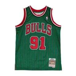Jerseys Mitchell & Ness -Swingman Dennis Rodman Chicago Bulls 1996-07 Jersey