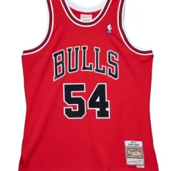 Jerseys Mitchell & Ness -Swingman Horace Grant Chicago Bulls 1990-91 Jersey