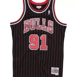 Jerseys Mitchell & Ness -Swingman Jersey Chicago Bulls Alternate 1995-96 Dennis Rodman