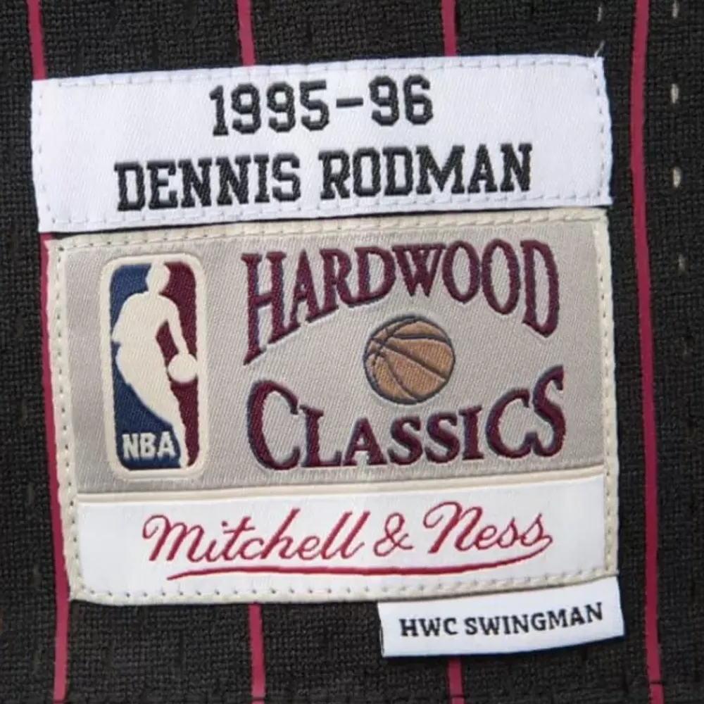 Jerseys Mitchell & Ness -Swingman Jersey Chicago Bulls Alternate 1995-96 Dennis Rodman