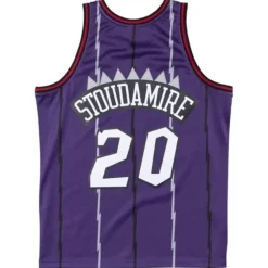 Jerseys Mitchell & Ness -Swingman Jersey Toronto Raptors Road 1995-96 Damon Stoudamire