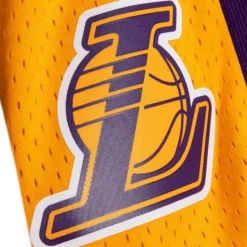 Shorts Mitchell & Ness -Swingman Los Angeles Lakers 2009-10 Shorts