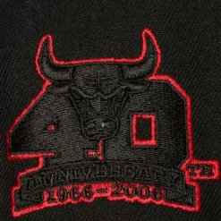 Headwear Mitchell & Ness -Tc Bottoms Snapback Chicago Bulls