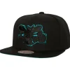 Headwear Mitchell & Ness -Tc Bottoms Snapback Hwc Charlotte Hornets