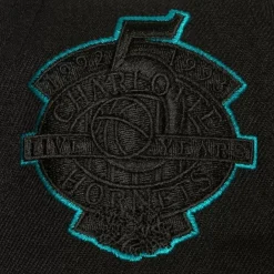 Headwear Mitchell & Ness -Tc Bottoms Snapback Hwc Charlotte Hornets