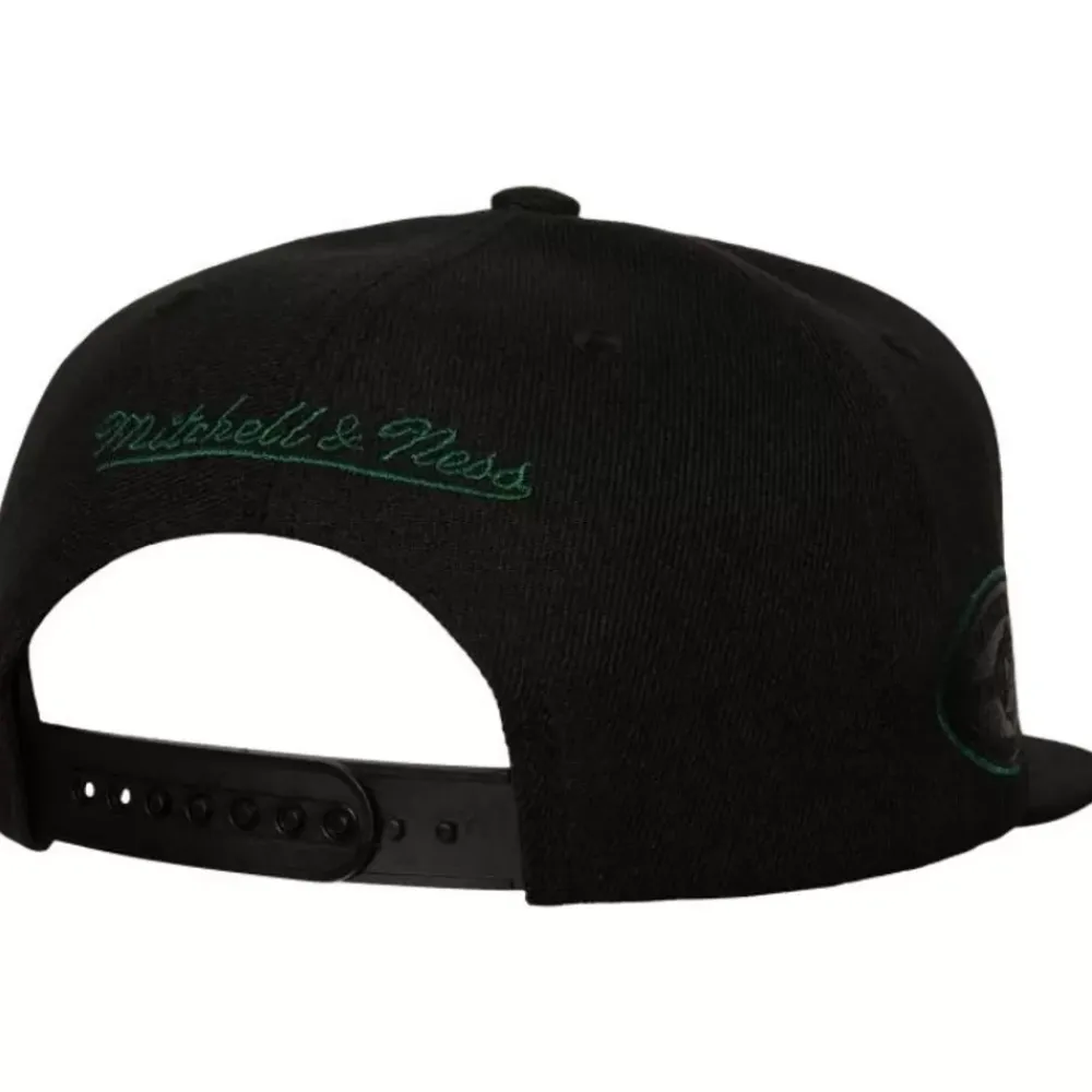 Headwear Mitchell & Ness -Tc Bottoms Snapback Minnesota Wild