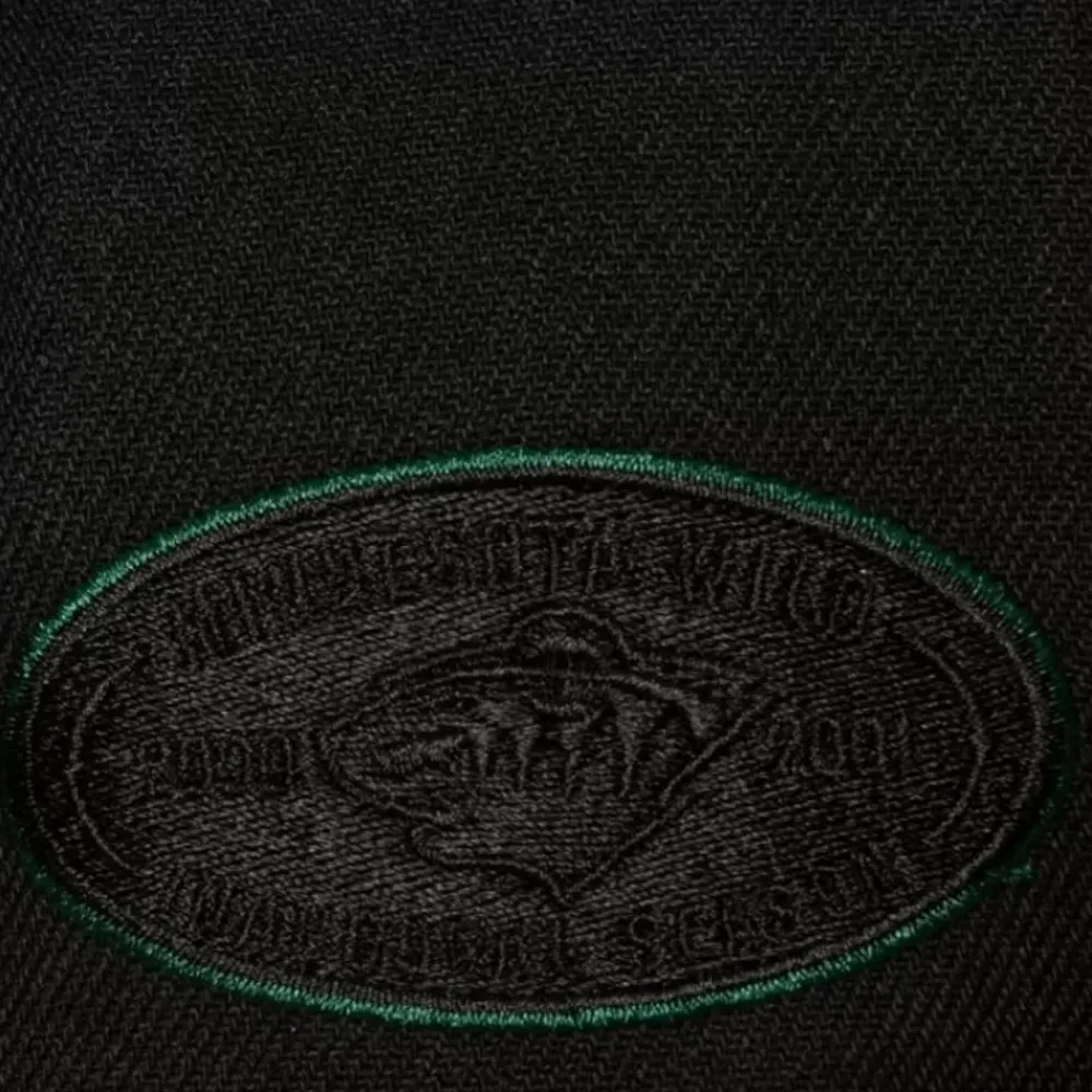 Headwear Mitchell & Ness -Tc Bottoms Snapback Minnesota Wild