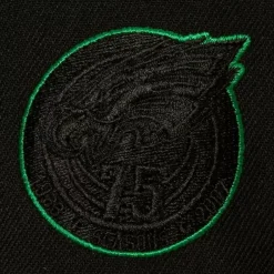 Headwear Mitchell & Ness -Tc Bottoms Snapback Philadelphia Eagles