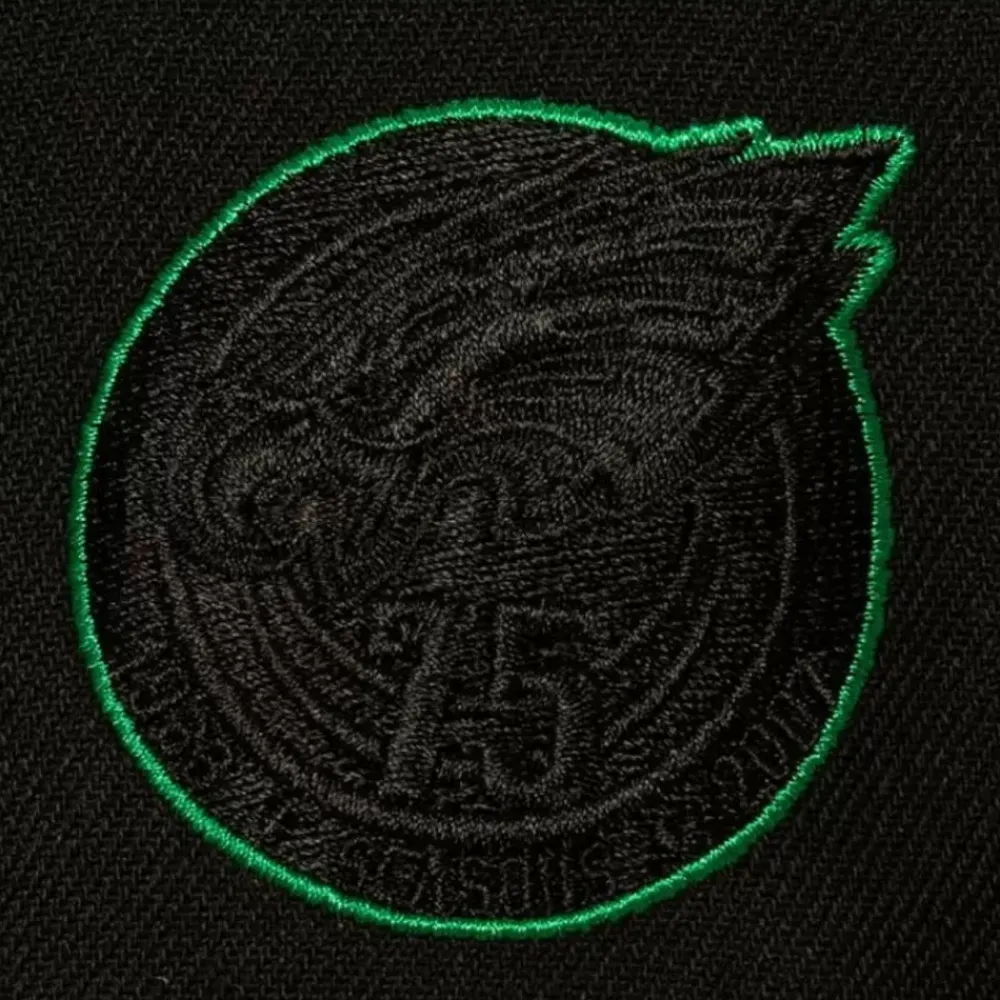 Headwear Mitchell & Ness -Tc Bottoms Snapback Philadelphia Eagles