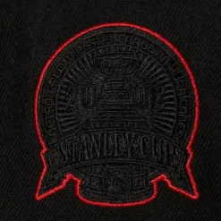 Headwear Mitchell & Ness -Tc Bottoms Snapback Vntg Detroit Red Wings