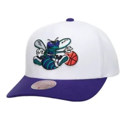 Headwear Mitchell & Ness -Team 2 Tone 2.0 Pro Snapback Hwc Charlotte Hornets