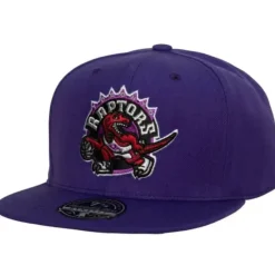 Headwear Mitchell & Ness -Team Ground 2.0 Fitted Hwc Toronto Raptors