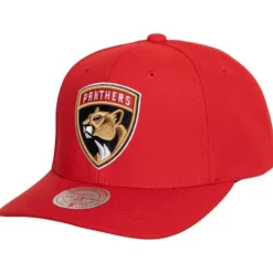Headwear Mitchell & Ness -Team Ground 2.0 Pro Snapback Florida Panthers