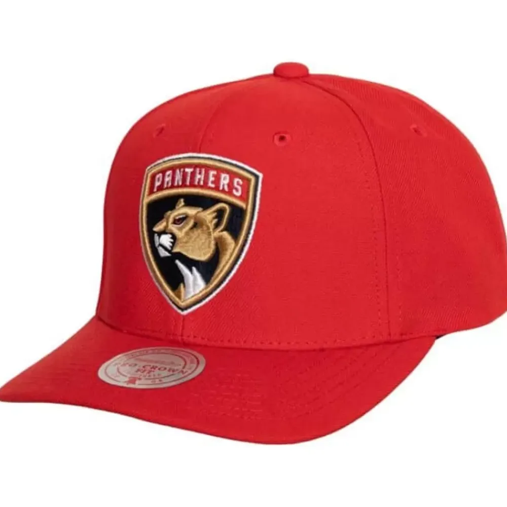 Headwear Mitchell & Ness -Team Ground 2.0 Pro Snapback Florida Panthers