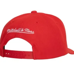 Headwear Mitchell & Ness -Team Ground 2.0 Pro Snapback Florida Panthers