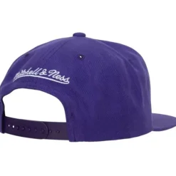 Headwear Mitchell & Ness -Team Ground 2.0 Snapback Hwc Toronto Raptors