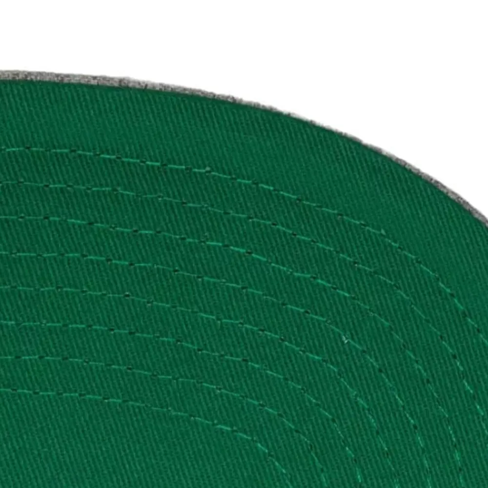 Headwear Mitchell & Ness -Team Heather 2.0 Snapback Hwc Vancouver Grizzlies