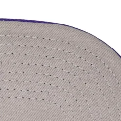 Headwear Mitchell & Ness -Team Insider Snapback Hwc Charlotte Hornets