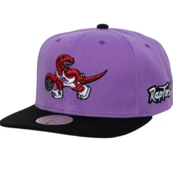 Headwear Mitchell & Ness -Team Origins Snapback Hwc Toronto Raptors