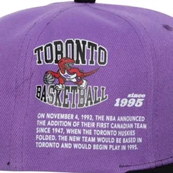 Headwear Mitchell & Ness -Team Origins Snapback Hwc Toronto Raptors