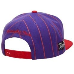 Headwear Mitchell & Ness -Team Pin Snapback Hwc Toronto Raptors