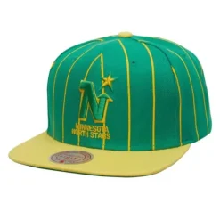 Headwear Mitchell & Ness -Team Pin Snapback Minnesota North Stars