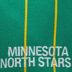 Headwear Mitchell & Ness -Team Pin Snapback Minnesota North Stars