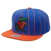 Headwear Mitchell & Ness -Team Pin Snapback University Of Florida