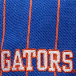 Headwear Mitchell & Ness -Team Pin Snapback University Of Florida