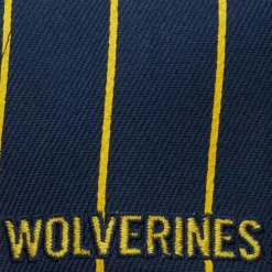 Headwear Mitchell & Ness -Team Pin Snapback University Of Michigan