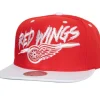 Headwear Mitchell & Ness -Transcript Snapback Vntg Detroit Red Wings