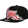 Headwear Mitchell & Ness -Vintage Paintbrush Snapback Detroit Red Wings