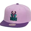 Headwear Mitchell & Ness -Violet Views Snapback Hwc Milwaukee Bucks