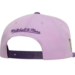 Headwear Mitchell & Ness -Violet Views Snapback Hwc Milwaukee Bucks